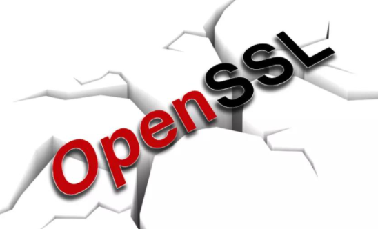OpenSSL�䲼��ȫ������������Ʒ�е�2����ȫ��϶.png