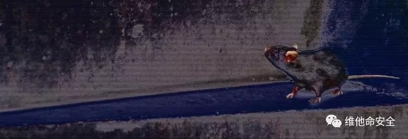 ��ҳ| 888���ŵ�����Ϸ�ٷ���վ